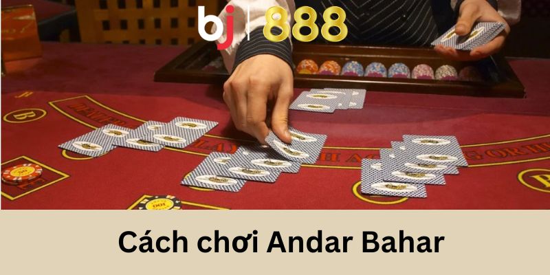 cach choi andar bahar anh dai dien