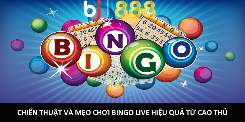 Chiến thuật và mẹo chơi Bingo Live hiệu quả từ cao thủ