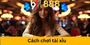 cach choi tai xiu anh dai dien
