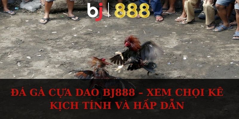 da ga cua dao anh dai dien