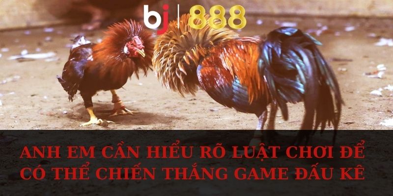 Anh em cần hiểu rõ luật chơi để có thể chiến thắng game đấu kê