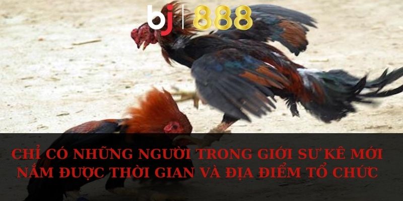 Chỉ có những người trong giới sư kê mới nắm được thời gian và địa điểm tổ chức