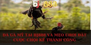 da ga my anh dai dien