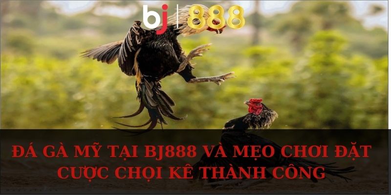 da ga my anh dai dien