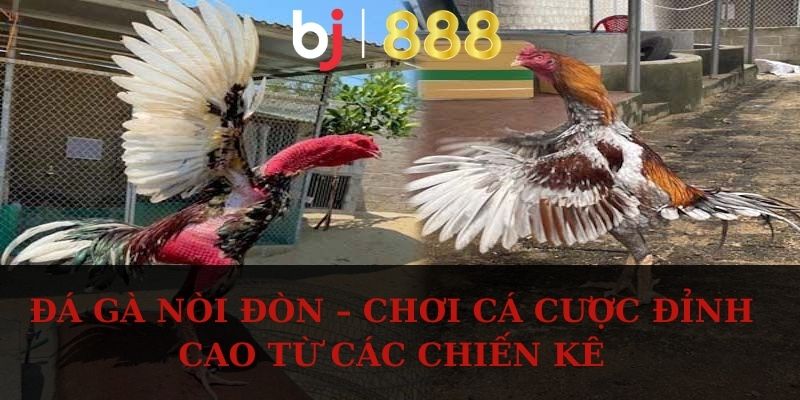 da ga noi don anh dai dien