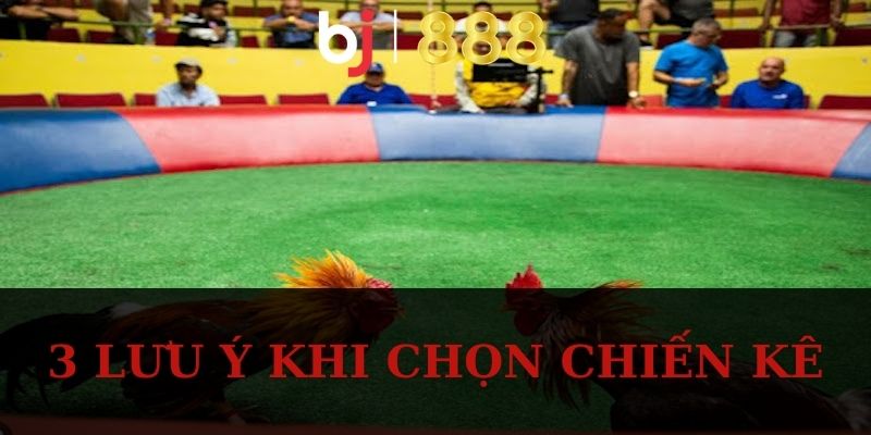 3 lưu ý khi chọn chiến kê