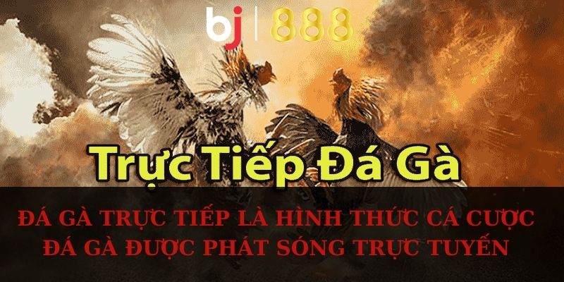 Đá gà trực tiếp là hình thức cá cược đá gà được phát sóng trực tuyến