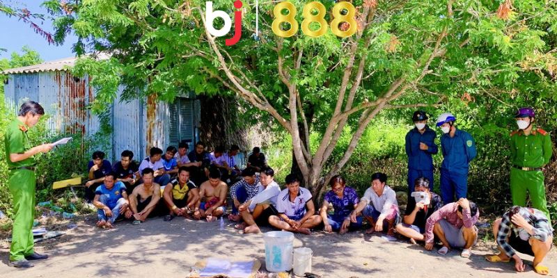 tai sao da ga bi bat anh dai dien