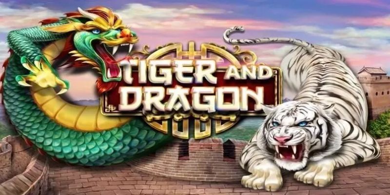 Cách chơi rồng hổ hướng dẫn cho người mới