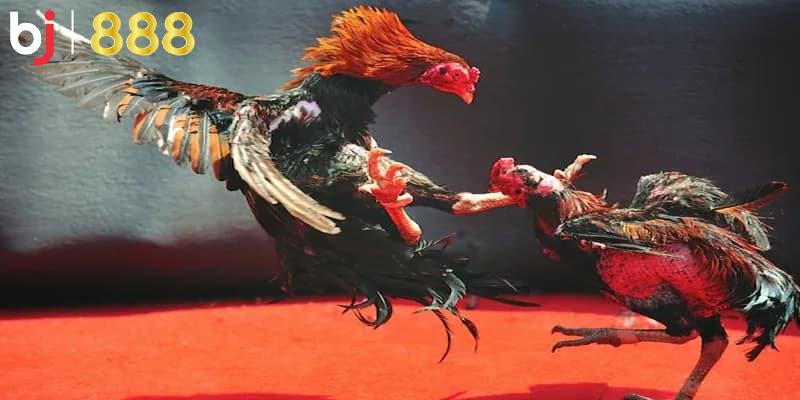 Lựa chọn dụng cụ kỹ càng, sạch sẽ