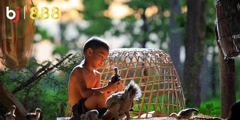 Kỹ thuật tắm gà chọi