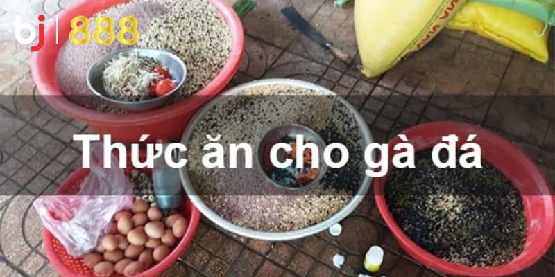 Thực phẩm bổ sung cho gà chọi